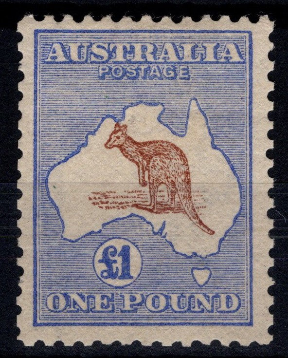 Kangaroos